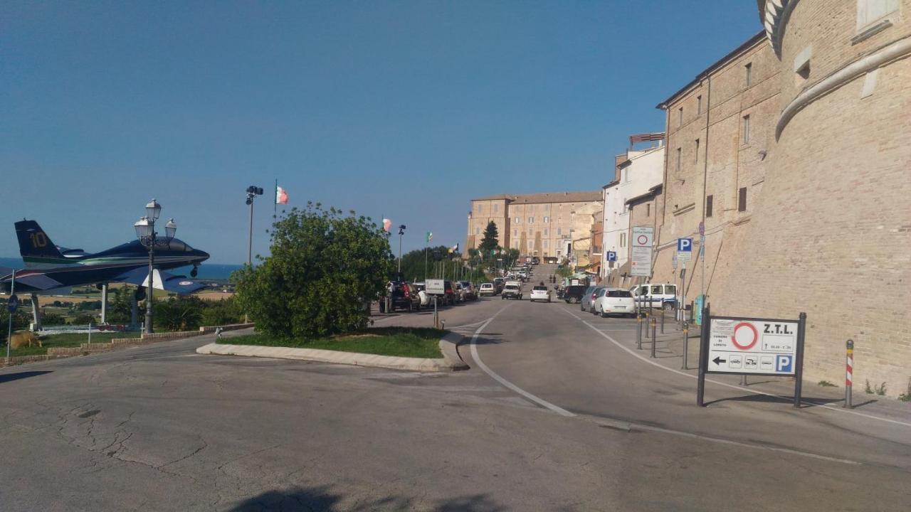 Delfino Azzurro Loreto