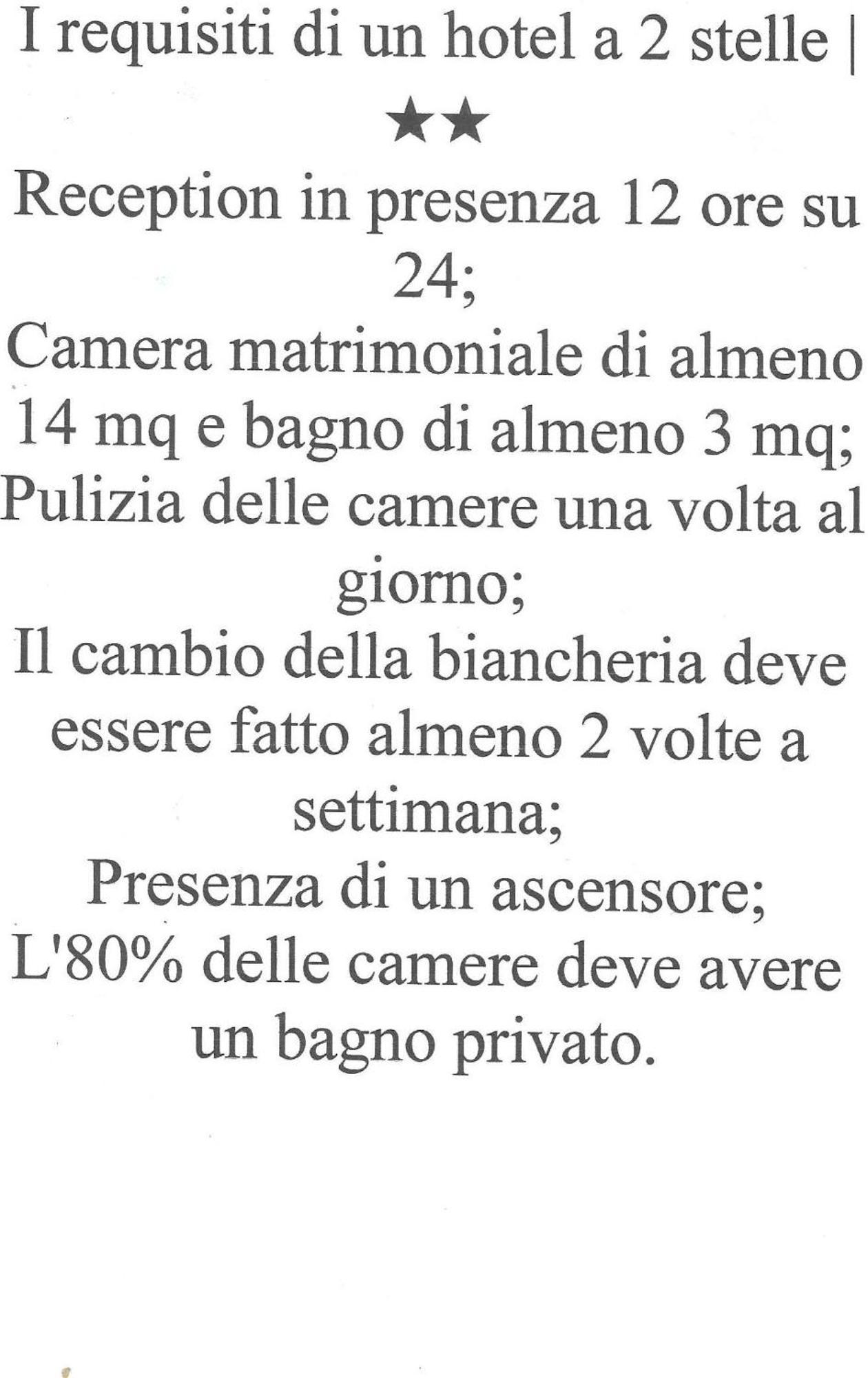 Delfino Azzurro Loreto